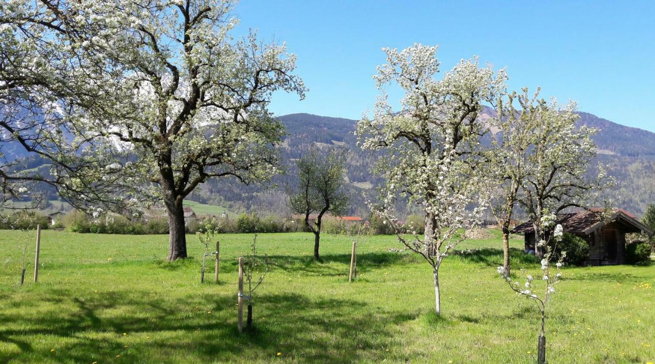 Ferienwohnung Alpenblick Kuchl Bagian luar foto